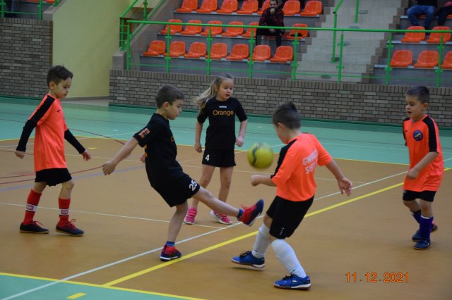 turmikol 13